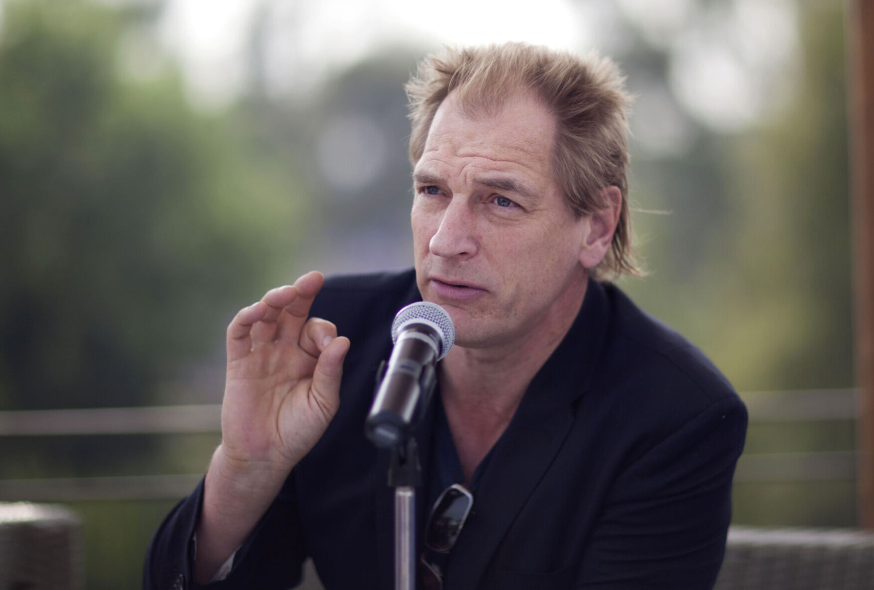2012 : Julian Sands